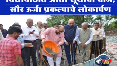 विद्यापीठात आता सूर्याची वीज, सौर ऊर्जा प्रकल्पाचे पालकमंत्र्यांच्या हस्ते लोकार्पण