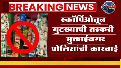 स्कॉर्पिओतून गुटख्याची तस्करी : मुक्ताईनगर पोलिसांची कारवाई