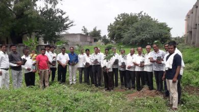 बचत गटाच्या माध्यमातून १० हजार झाडांचे वृक्षारोपण करण्याचा संकल्प