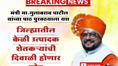 जिल्ह्यातील केळी उत्पादक शेतकऱ्यांची दिवाळी होणार गोड…