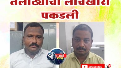 सातबारा उताऱ्यावर बोजा लावण्यासाठी लाच घेणाऱ्या पंटरसह अटक तलाठ्याची लाचखोरी पकडली