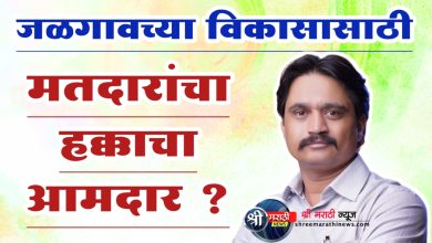 नागरिकांच्या समस्या गल्लीपासून दिल्लीपर्यंत सोडवण्यासाठी हक्काचा आमदार ?