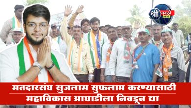 रावेर – यावल मतदारसंघ सुजलाम सुफलाम करण्यासाठी महाविकास आघाडीला निवडून द्या – धनंजय चौधरी