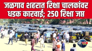 जळगाव शहरात रिक्षा चालकांवर धडक कारवाई; २५० रिक्षा जप्त