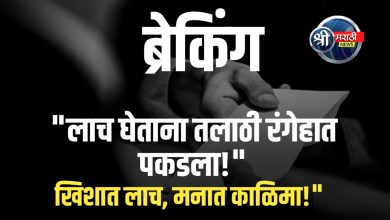 “लाचखोर तलाठ्यावर लाचलुचपत विभागाचा यशस्वी सापळा”