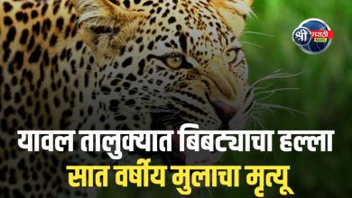 यावल तालुक्यात बिबट्याचा हल्ला – सात वर्षीय आदिवासी बालक ठार, नागरिकांमध्ये संताप