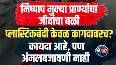 प्लास्टिकच्या विळख्यात निष्पाप जीवांचा बळी – कधी थांबणार हा मृत्यूचा साखळदंड?