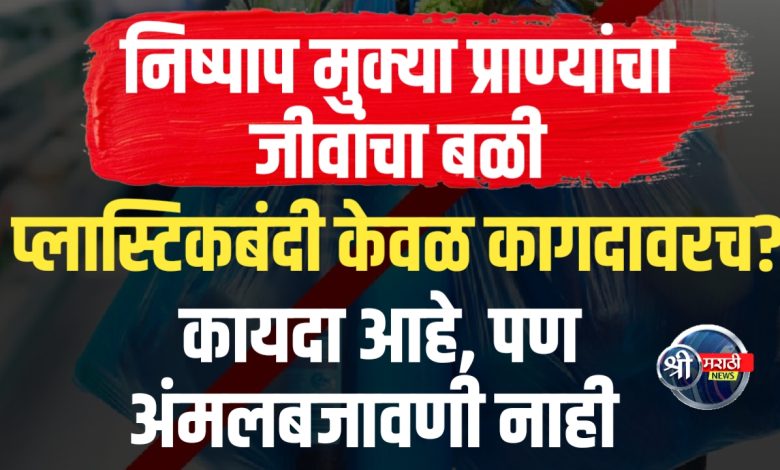 प्लास्टिकच्या विळख्यात निष्पाप जीवांचा बळी – कधी थांबणार हा मृत्यूचा साखळदंड? प्लास्टिकच्या विळख्यात निष्पाप जीवांचा बळी – कधी थांबणार हा मृत्यूचा साखळदंड?