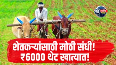 पंतप्रधान किसान सन्मान निधी योजना: शेतकऱ्यांसाठी मोठी संधी, 15 एप्रिलपासून विशेष मोहीम सुरू!