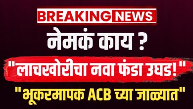 लाचखोर भूकरमापक गजाआड! रोख रक्कम आणि हरभऱ्याच्या लाचेची मागणी करताना रंगेहात सापडला