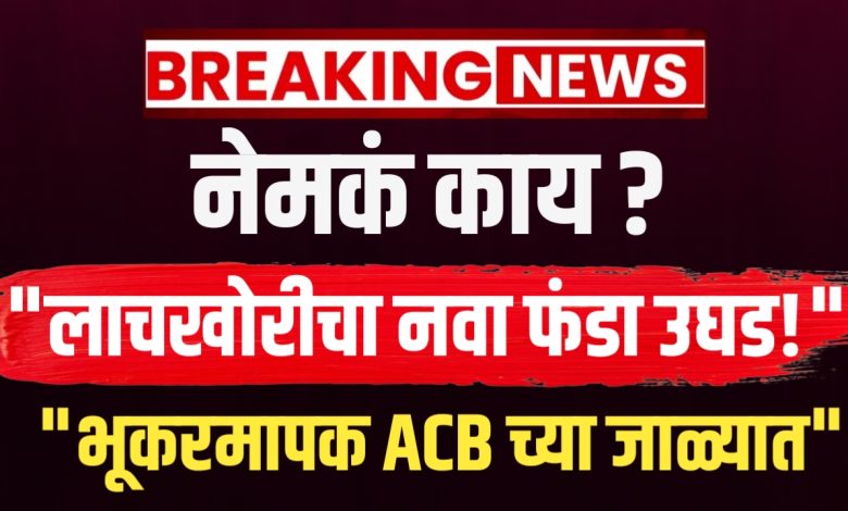 लाचखोर भूकरमापक गजाआड! रोख रक्कम आणि हरभऱ्याच्या लाचेची मागणी करताना रंगेहात सापडला लाचखोर भूकरमापक गजाआड! रोख रक्कम आणि हरभऱ्याच्या लाचेची मागणी करताना रंगेहात सापडला