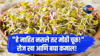 मोड आलेले कडधान्य: आरोग्यासाठी पोषणसंपन्न खाद्यपदार्थ