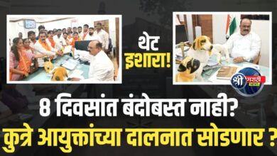 जळगावच्या रस्त्यांवर मोकाट कुत्र्यांचा धुमाकूळ; शिवसेना उबाठा आक्रमक!