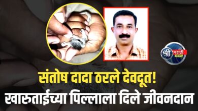 जळगाव शहरातील पोलिसाचे माणुसकीचे उदाहरण : संतोष दादा यांनी खारुताईच्या पिल्लाला दिले जीवनदान!