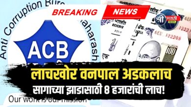 वनपालाकडून ८ हजारांची लाच स्वीकारताना लाचलुचपत विभागाची कारवाई