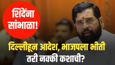 शिंदे नाराज? दिल्लीतील बैठकीत भाजपला धोक्याचा इशारा!