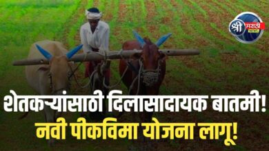 राज्यातील शेतकऱ्यांसाठी दिलासादायक घोषणा!नवीन  पीकविमा योजना लागू