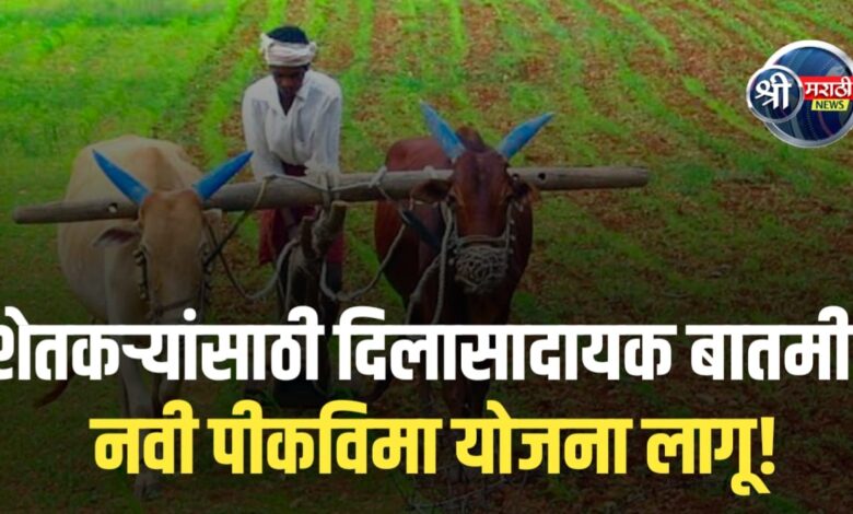 राज्यातील शेतकऱ्यांसाठी दिलासादायक घोषणा!नवीन पीकविमा योजना लागू राज्यातील शेतकऱ्यांसाठी दिलासादायक घोषणा!नवीन पीकविमा योजना लागू