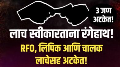 वन विभागातील लाचखोरीचा पर्दाफाश : सामाजिक वनीकरण विभागातील अधिकारी आणि कर्मचाऱ्यांना ACB ने रंगेहात पकडले!