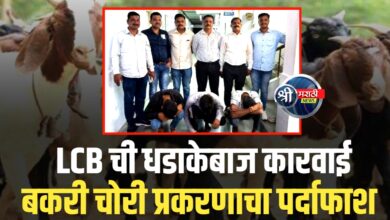 स्थानिक गुन्हे शाखा, जळगाव यांनी बकरी चोरी करणारे ०३ आरोपी जेरबंद
