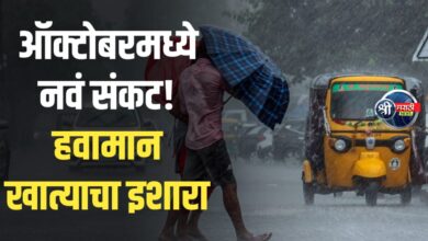 ऑक्टोबर महिना ठरणार सर्वात धोकादायक 115% जास्त पाऊस! IMD चा अंदाज ऐकून शेतकऱ्यांची झोप उडाली