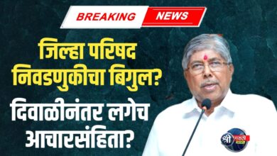 जिल्हा परिषद निवडणुकीची घोषणा ?, दिवाळीनंतर लागणार आचारसंहिता?