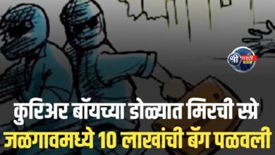 मालकाशी मोबाईलवर बोलत असतानाच चोरट्यांनी साधला डाव; स्थानिक गुन्हे शाखेकसह एमआयडीसी पोलिसांकडून  तपास सुरू