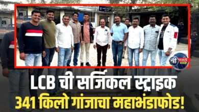 मुक्ताईनगर हादरले! मानेगावात २३ लाखांची ‘गांजा शेती’ एलसीबीने केली उद्ध्वस्त; ३४१ किलो गांजा जप्त