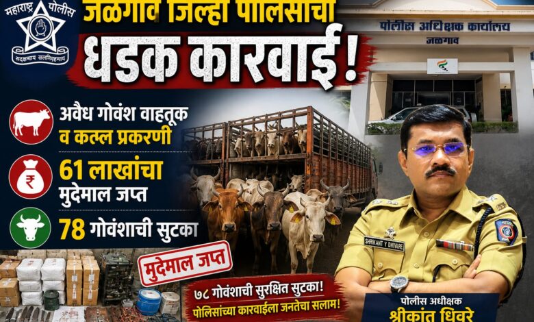 जळगाव पोलिसांची धडक कारवाई! अवैध गोवंश वाहतूक व कत्तल प्रकरणी ६१ लाखांचा मुद्देमाल जप्त; ७८ गोवंशाची सुटका जळगाव पोलिसांची धडक कारवाई! अवैध गोवंश वाहतूक व कत्तल प्रकरणी ६१ लाखांचा मुद्देमाल जप्त; ७८ गोवंशाची सुटका
