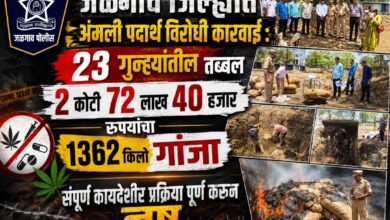 जळगाव पोलिसांची धडक कारवाई: तब्बल २ कोटी ७२ लाखांचा १३६२ किलो गांजा खड्ड्यात गाडून नष्ट; २३ गुन्ह्यांमधील मुद्देमालाची विल्हेवाट